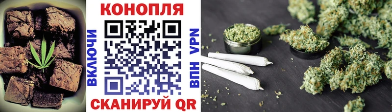 Canna-Cookies конопля Ленинградская