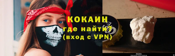 МДПВ Пересвет