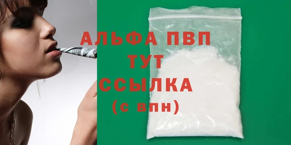 МДПВ Пересвет