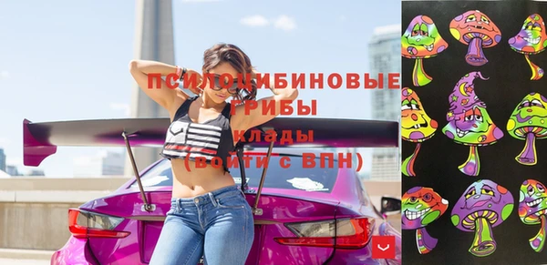 не бодяженный Переславль-Залесский