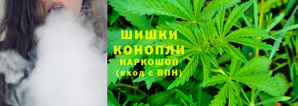 прущие крисы Ладушкин